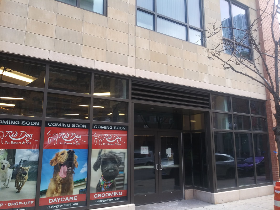 Red Dog Pet Resort & Spa — Louvers — glazing by Skyline Glass & Glazing